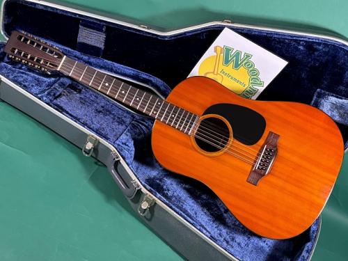 Martin D12-20