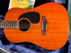 Martin D12-20_2