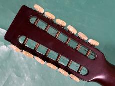 Martin D12-20_6