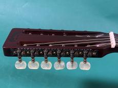 Martin D12-20_7