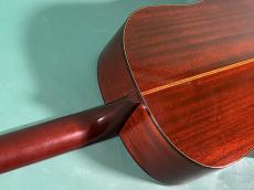 Martin D12-20_10