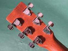 Martin D-1_6