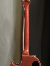 FUJIGEN NCLS-20R_7