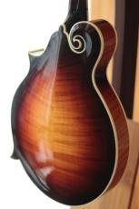 Gibson Master Model F-5 Fern_4
