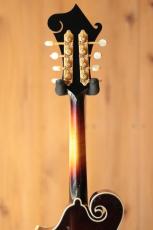 Gibson Master Model F-5 Fern_7