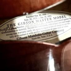 Gibson Master Model F-5 Fern_10