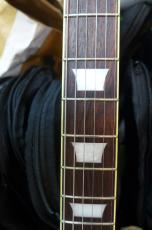 Tokai LS-1959  CS　Neo_5