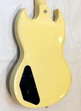 Gibson SG STANDARD_2
