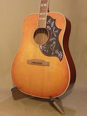Gibson Hummingbird_2