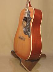 Gibson Hummingbird_4