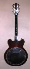 Gretsch Country Gentleman_6