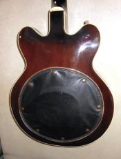Gretsch Country Gentleman_7