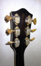 Gretsch Country Gentleman_9