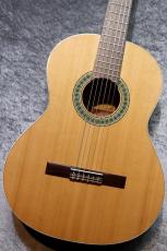 Paco Castillo / パコ・カスティージョ 【小物6点サービス!】201 杉 / サペリ #26525 【現物写真】【スペインブランド】【池袋店在庫品】