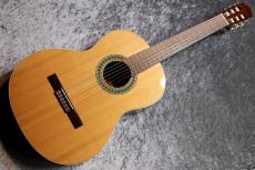 Paco Castillo / パコ・カスティージョ 【小物6点サービス!】201 杉 / サペリ #26525 【現物写真】【スペインブランド】【池袋店在庫品】_2