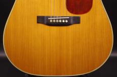 Martin D-76_9