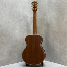 Maton 【Matonフェア 開催中!】EMD6 ~Diesel Special~ #18275【頼れるミニギター】_6