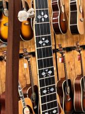Gibson Earl Scruggs Standard '04_4