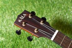 KALA KA-KOA-TE Tenor_5