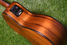 KALA KA-KOA-TE Tenor_14