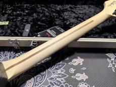 Charvel USA Custom Shop Warren De Martini/ Signature / SnakeSkin Graphic　①_8