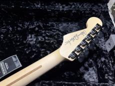 Charvel USA Custom Shop Warren De Martini/ Signature / SnakeSkin Graphic　①_9