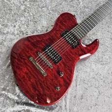 Edwards E-DR-II-7ST