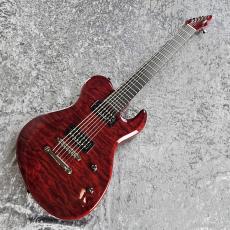 Edwards E-DR-II-7ST_2
