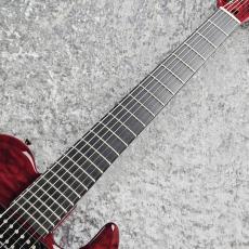 Edwards E-DR-II-7ST_4