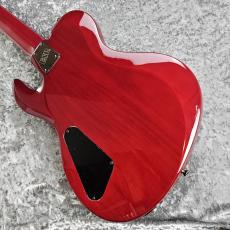 Edwards E-DR-II-7ST_6