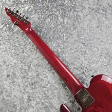 Edwards E-DR-II-7ST_7