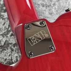 Edwards E-DR-II-7ST_9