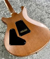 Paul Reed Smith [PRS] 【特選中古】Custom 24  10Top/BirdInlay -Blue Matteo-【2003'sUSED】 【3.75Kg】_7
