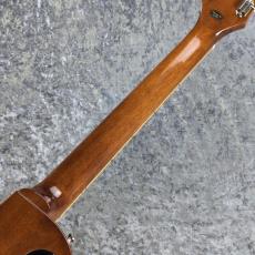 Epiphone Les Paul Standard 50s Plain Top ~Goldtop~ #25051523037【3.88kg】_8