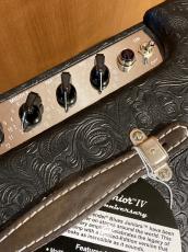 Fender Blues Junior IV 30th Anniversary_6
