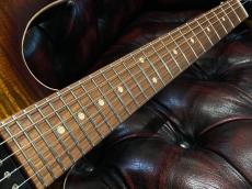 Suhr Modern Plus -Bengal Burst-_5