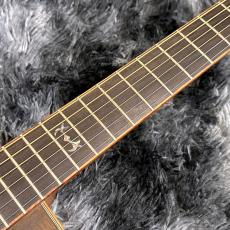 Morris FLB-80 DV -Hand Made Premium- 【特価】【オール単板】【日本製】_5