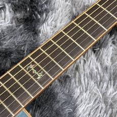 Morris FLB-80 TQB -Hand Made Premium- 【特価】【オール単板】【日本製】_5