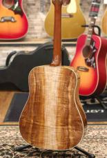 Gibson 【カスタム】Hummingbird Koa Carpathian Spruce Honeyburst【65本限定】_4