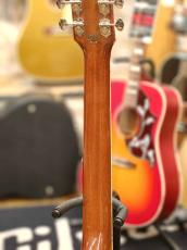 Gibson 【カスタム】Hummingbird Koa Carpathian Spruce Honeyburst【65本限定】_11