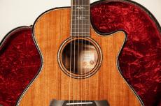 Taylor Builder's Edition 912ce ~Sinker Redwood × Honduran Rosewood~ 【国内唯一入荷!!】_3