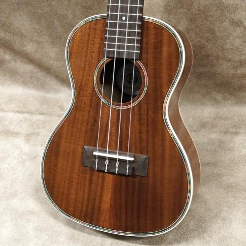 DCT DUC-150K【コンサートサイズ】【アカシアボディ】【現物写真】