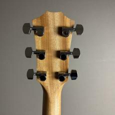 Taylor 214ce Walnut【現物画像】【最大36回分割無金利キャンペーン実施中】_9