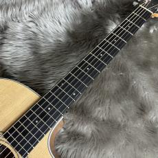 Taylor 214ce Walnut【現物画像】【最大36回分割無金利キャンペーン実施中】_10