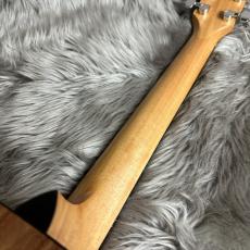 Taylor 114ce【現物画像】【最大36回分割無金利 実施中】_10