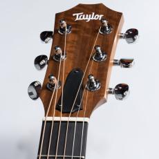 Taylor GS Mini-e VSB_4