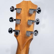 Taylor GS Mini-e VSB_5