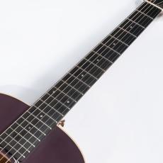 Taylor GS Mini-e VSB_7