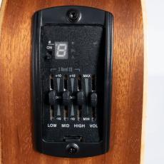 Taylor GS Mini-e VSB_9