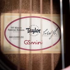 Taylor GS Mini-e VSB_11